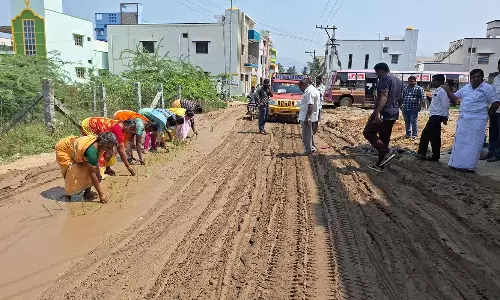 தருமபுரி கலெக்டர் அலுவலகம் எதிரே சாலையில் நாற்று நட்டு பொதுமக்கள் போராட்டம் நடவடிக்கை எடுக்கவில்லை என்றால் உண்ணாவிரதம்; எம்.எல்.ஏ., அறிவிப்பு