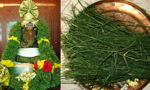 அருகம்புல் மாலை ஏன்?