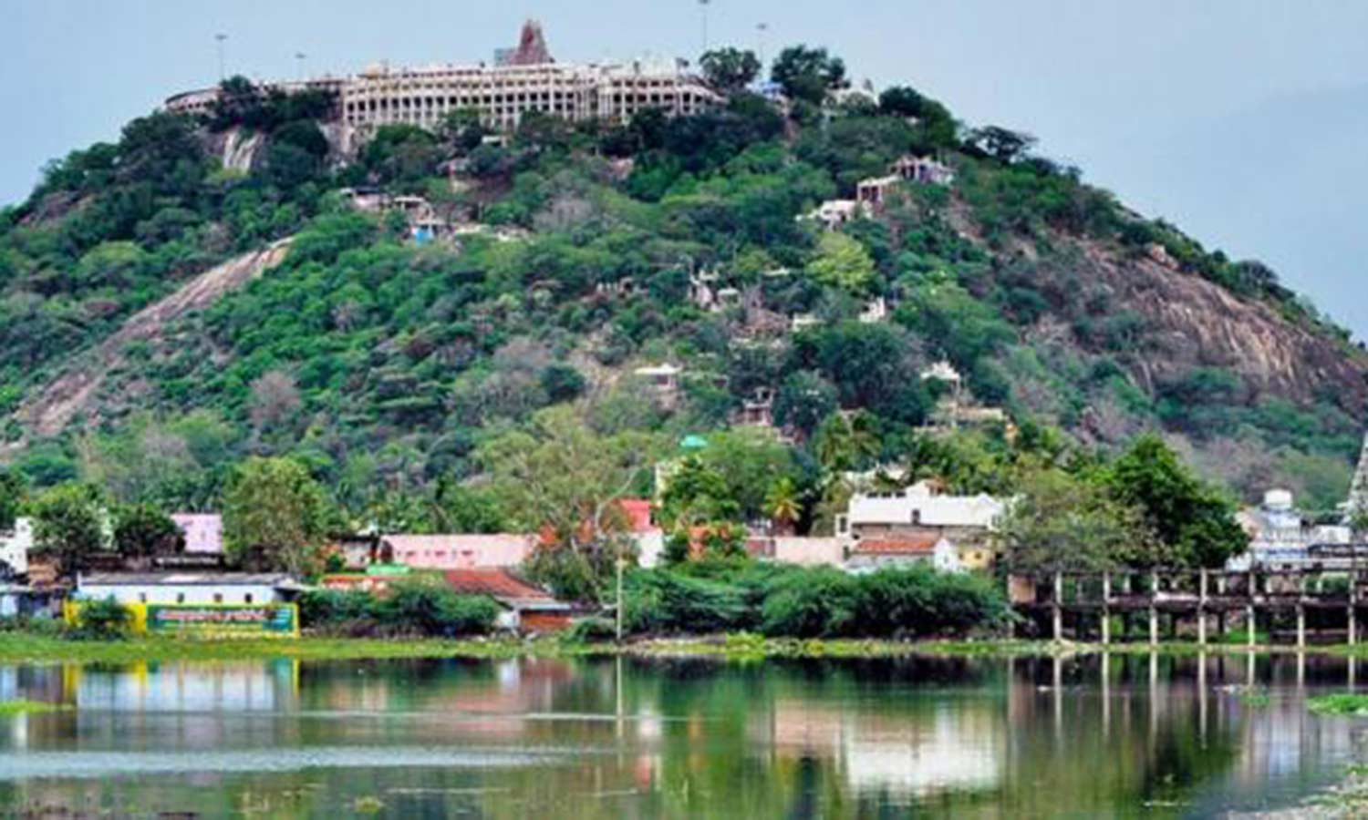 ஆயுத பூஜையை முன்னிட்டு பழனியில் அலைமோதிய பக்தர்கள் கூட்டம்