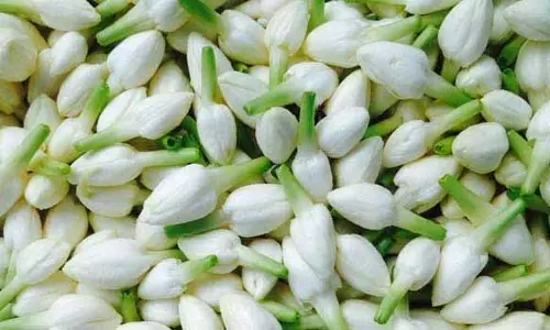 காஞ்சிபுரத்தில் பூக்கள் விலை அதிகரிப்பு