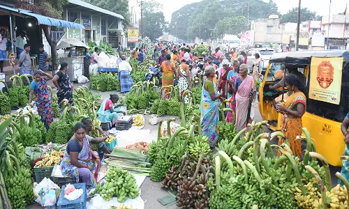 கடலூரில் வாழைத்தார்கள் வரத்து அதிகரிப்பு