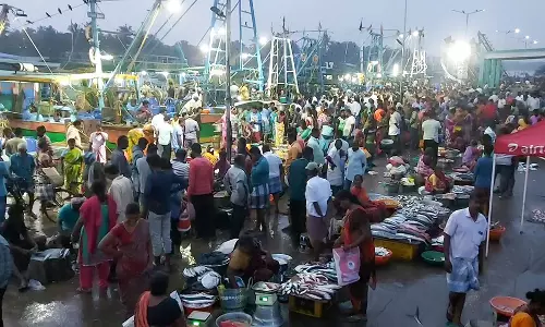 புரட்டாசி மாதம் முடிவடைந்த  நிலையில் கடலூர் மீன்பிடி துறைமுகத்தில் குவிந்த பொதுமக்கள்