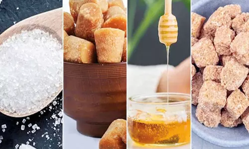 எந்த சர்க்கரை சிறந்தது?