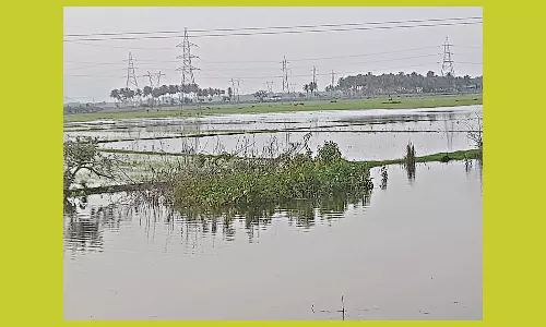 விவசாய நிலத்தில் மழைநீர் தேங்குவதால் விவசாயிகள் அவதி