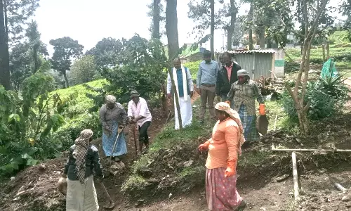 பாலகொலா ஊராட்சியில் ரூ.4.80 லட்சம் மதிப்பில் கழிவுநீர் கால்வாய் பணிகள்