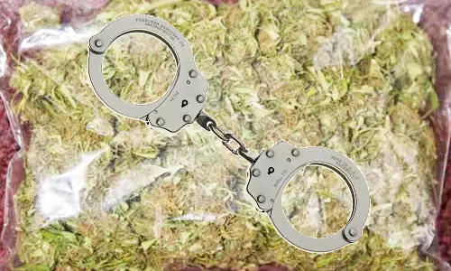 கஞ்சா கடத்திய 2 வாலிபர்கள் கைது