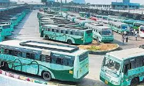 வேலூர் புதிய பஸ் நிலையத்தில் பஸ் படியிலிருந்து தவறி விழுந்த குழந்தை உயிர் தப்பியது