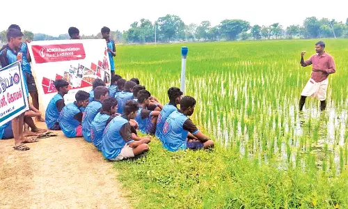 அரசு பள்ளி மாணவர்களுக்கு நெல் சாகுபடி குறித்து பயிற்சி