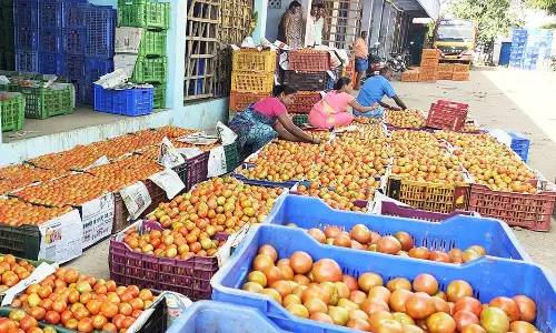 தக்காளி வரத்து குறைவால் விலை அதிகரிப்பு