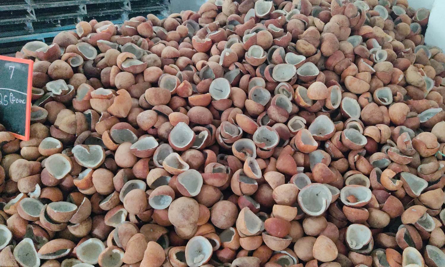 மீண்டும் சூடுபிடிக்கும் கொப்பரை வர்த்தகம்: உடுமலை விவசாயிகள் மகிழ்ச்சி