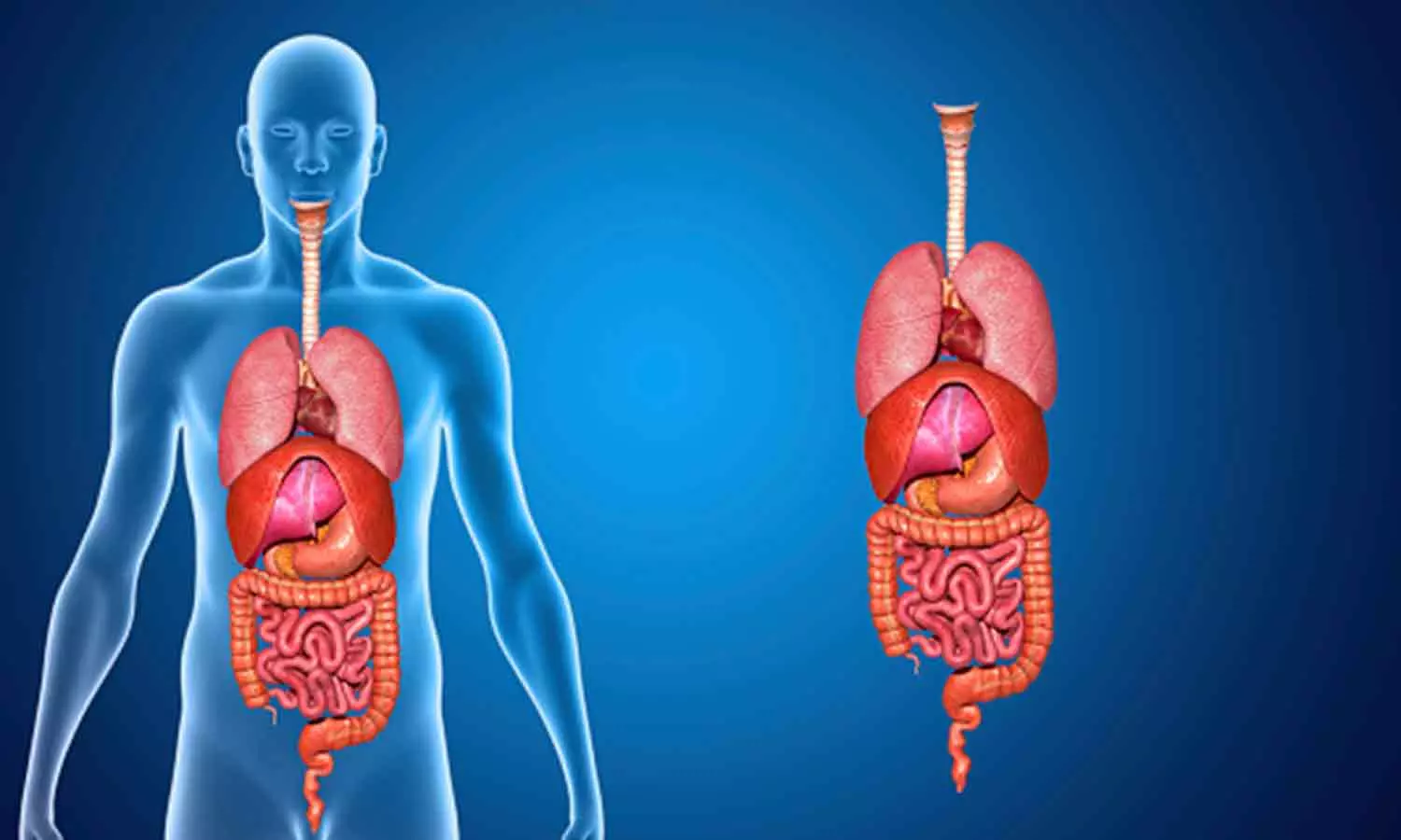 முதுமையில் சீரண மண்டல தொந்தரவுகளும், தீர்வுகளும் முதுமையில் சீரண மண்டல தொந்தரவுகளும், தீர்வுகளும்