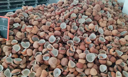 மீண்டும் சூடுபிடிக்கும் கொப்பரை வர்த்தகம்: உடுமலை விவசாயிகள் மகிழ்ச்சி