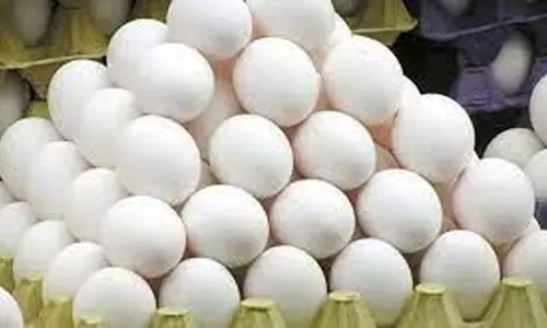 நாமக்கல் மண்டலத்தில் முட்டை விலை 5 காசுகள் உயர்வு