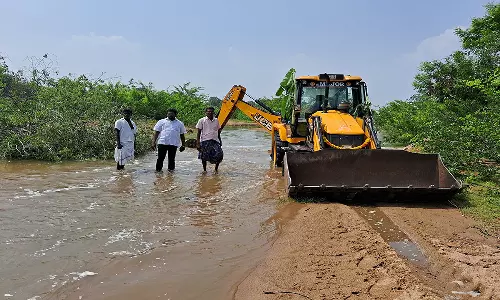 அரசூர் மலட்டாறிலிருந்து பாசன நீர் கிடைக்க தூர்வாரும் பணி
