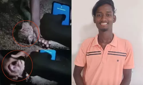 மின்சாரம் தாக்கி உயிருக்கு போராடிய குரங்கு... மூச்சுக்காற்று கொடுத்து காப்பாற்றிய வாலிபர்