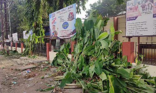 தருமபுரி நகராட்சியில்  60 டன் குப்பைகள் அகற்றம்