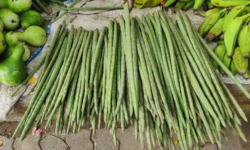 முருங்கைக்காய் விலை உயர்வு-விவசாயிகள் மகிழ்ச்சி