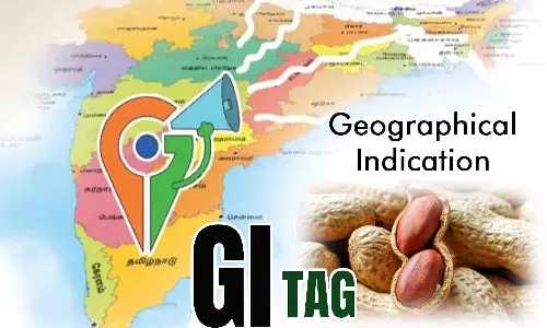 சேவூர் நிலக்கடலைக்கு புவிசார் குறியீடு கிடைக்குமா? - விவசாயிகள் எதிர்பார்ப்பு