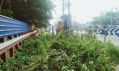 நிலக்கோட்டை டி.எஸ்.பி அலுவலகம் முன்பு டிரான்ஸ்பார்மரை சூழ்ந்துள்ள முட்புதர்கள்