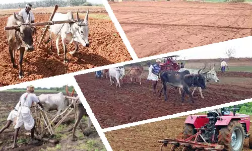 ஐப்பசி பட்ட சாகுபடி விளை நிலங்களை தயார்படுத்தும் விவசாயிகள்