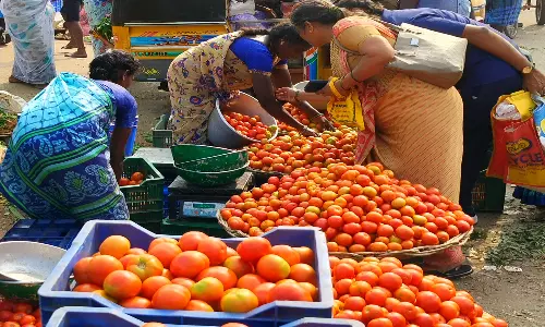 தொடர் மழை எதிரொலி வரத்து குறைவால் தக்காளி விலை திடீர் உயர்வு