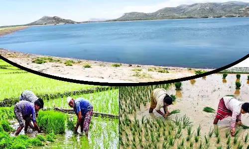 பி.ஏ.பி,.4ம் மண்டல பாசன நிலங்களுக்கு நவம்பர் மாதத்தில் கூடுதல் சுற்றுக்கள் நீர் வழங்க வேண்டும் -  விவசாயிகள் வலியுறுத்தல்