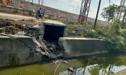 பிரெஞ்சுகாரன் வாய்க்காலில் தேங்கியுள்ள கழிவு நீரால் நோய் பரவும் அபாயம்