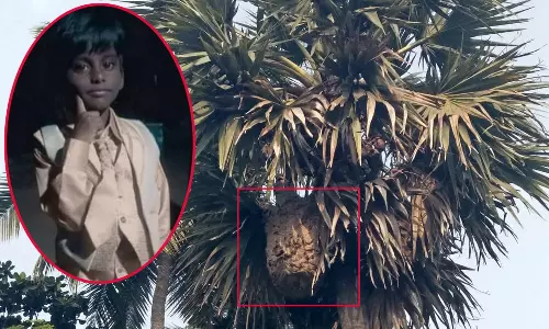 குளவி கொட்டியதில் 3-ம் வகுப்பு மாணவன் பலி