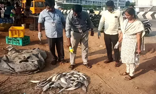 பாளை, மேலப்பாளையத்தில் மீன் விற்பனை கடைகளில் அதிகாரிகள் திடீர் ஆய்வு- 46 கிலோ கெட்டுப்போன மீன்கள் பறிமுதல்