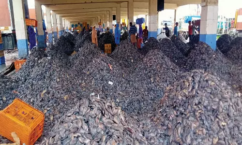 குளச்சலில் கிளாத்தி மீன் விலை வீழ்ச்சியால் மீனவர்கள் கவலை