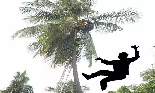 மரத்தில் இருந்து விழுந்து தொழிலாளி சாவு