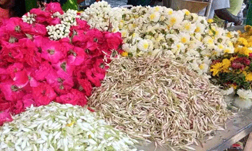 புளியம்பட்டி மார்க்கெட்டில் பூக்கள் விலை குறைந்தது