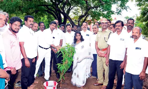 மரங்களால் மனிதனின் வாழ்நாட்கள் அதிகரிக்கிறது