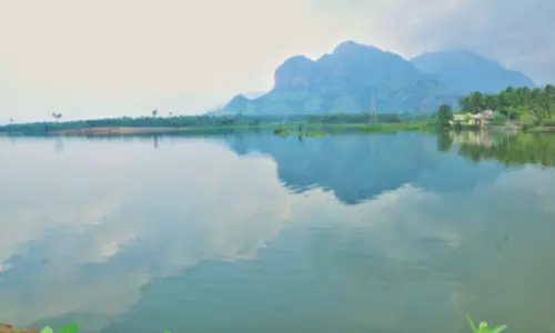 குமரியில் மழை நீடிப்பு 1500 பாசன குளங்கள் நிரம்பியதுபேச்சிப்பாறை அணை 24 மணி நேரமும் கண்காணிப்பு