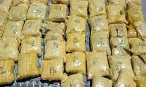 245 கிலோ போதை பொருட்கள் பறிமுதல்