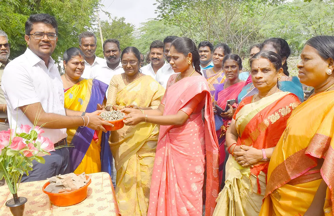 முருங்கை விதை வழங்கும் பணி