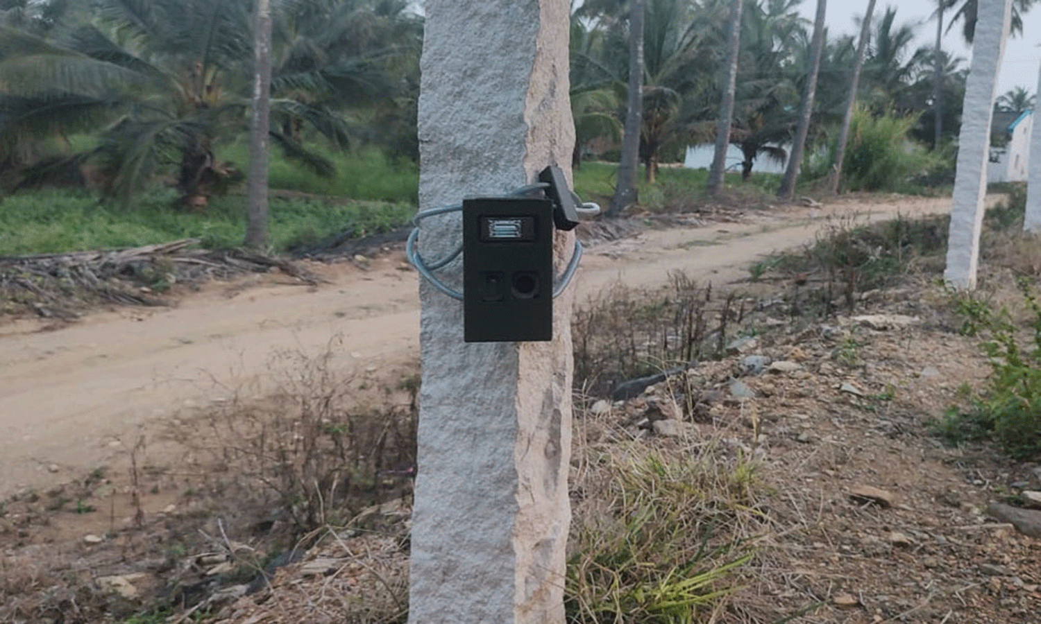 2 இடங்களில் கண்காணிப்பு கேமிரா பொருத்திய வனத்துறையினர்