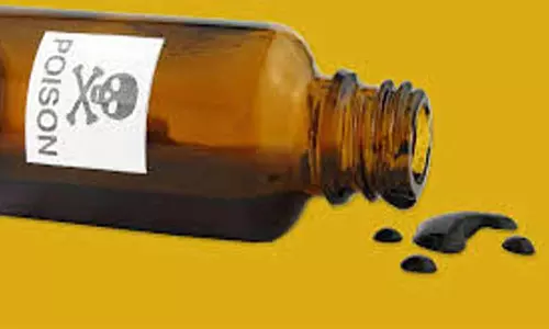 சின்னமனூர் அருகே சத்துணவு ஊழியர் தற்கொலை