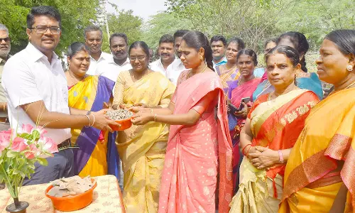 முருங்கை விதை வழங்கும் பணி