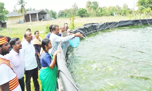வளர்ச்சி பணிகளை கலெக்டர் ஆய்வு