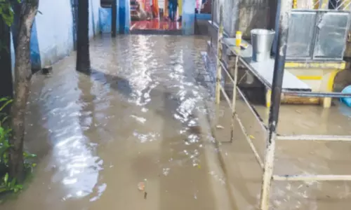 மாம்பழத்துறையாறில்  72 மில்லி மீட்டர் மழை பதிவு