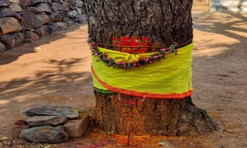 மரங்கள் வழிபாட்டில் இவ்வளவு அதிர்ஷ்டமா?