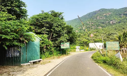 வத்தல் மலையில் விடுமுறை நாட்களில் அதிகரிக்கும் சமூக விரோத செயல்களை தடுக்க வேண்டும்