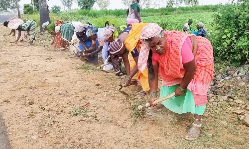 100 நாள் வேலை திட்டத்தில் பணி செய்தவர்களுக்கு நிலுவையில் உள்ள சம்பளம் வழங்க கோரிக்கை