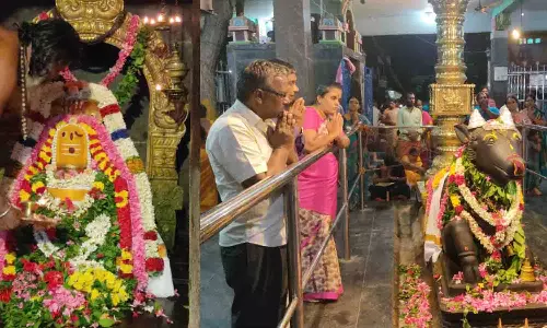 உடுமலை ரத்தினலிங்கேஸ்வரர் கோவிலில் பிரதோஷ வழிபாடு