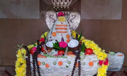 உடுமலை பகுதி சிவன் கோவில்களில் அன்னாபிஷேகம்