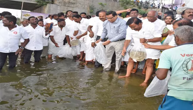 மேட்டூர் காவிரி ஆற்றில்  1 லட்சம் மீன் விரலிகள் இருப்பு செய்யும் திட்டம்