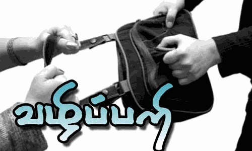 நடந்து சென்ற பெண்ணிடம் ரூ.25 ஆயிரம் வழிப்பறி