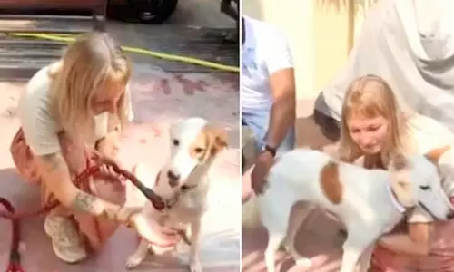 பாஸ்போர்ட்டுடன் வெளிநாடு செல்லும் வாரணாசி தெரு நாய்