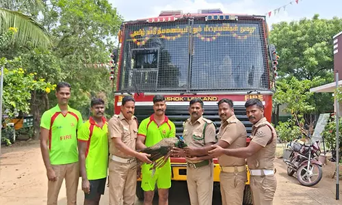 தியாகதுருகம் அருகே கிணற்றில் விழுந்த பெண் மயில் உயிருடன் மீட்பு